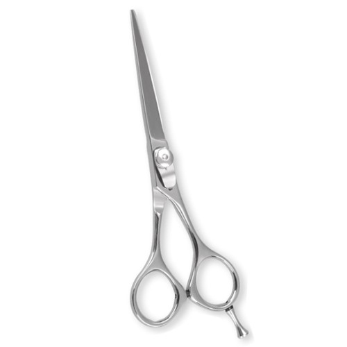 Professional Hair Cutting Scissors